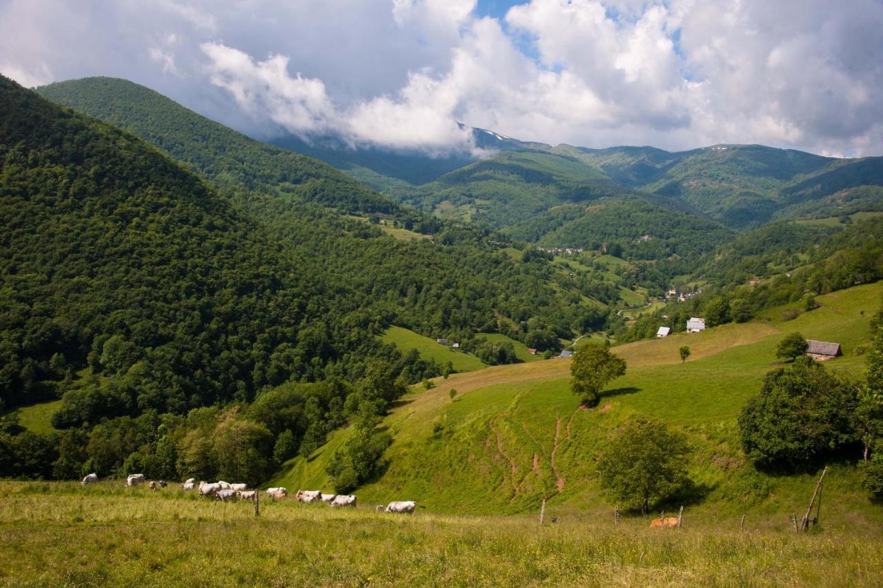 L'Echappee Belle Panzió Lacourt Kültér fotó